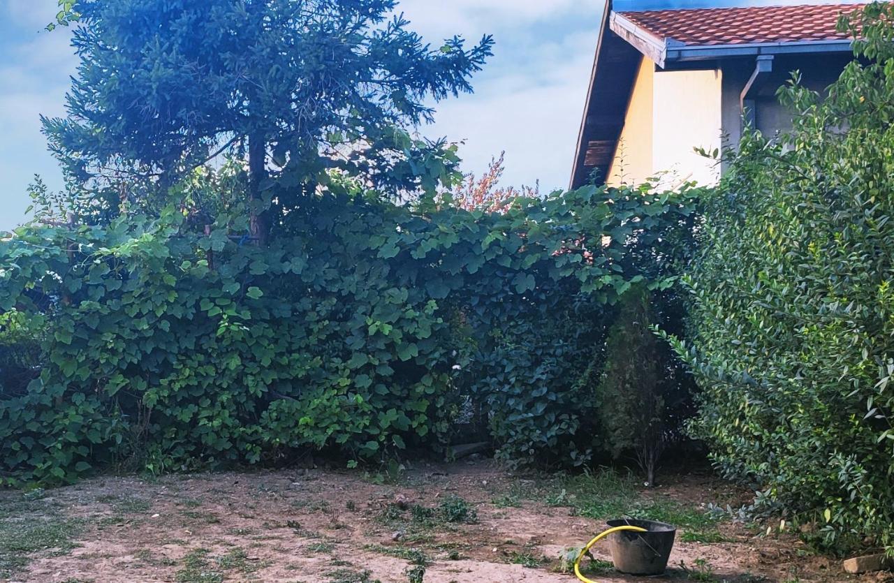 Farmhouse Studios Βελιγράδι Εξωτερικό φωτογραφία